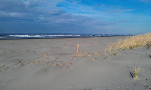 Long Beach House | Historic 1920s Cabin