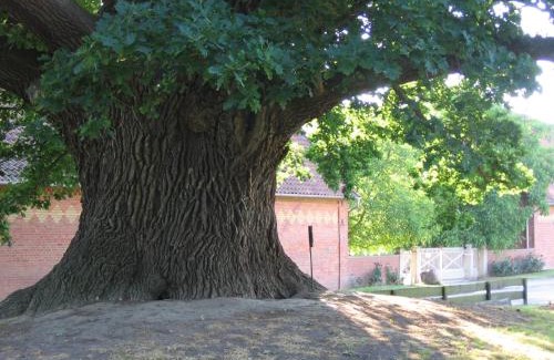 Hildesheim District House | Hof Grafeneiche