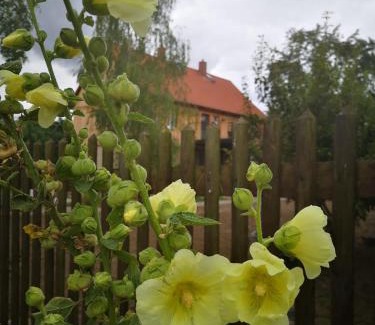 Stapelburg Apartment | Hof Janne Stapelburg