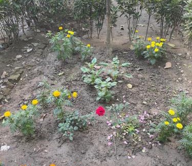 Sector II House | Hoglabon nest