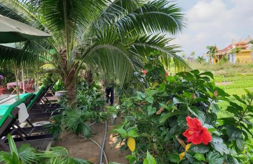 Tra Que Vegetable Village Hotel | Hoi an Osaka Riverside Villa & Spa