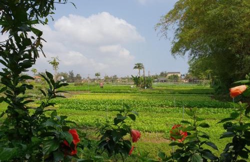 Tra Que Vegetable Village Hotel | Hoi an Osaka Riverside Villa & Spa