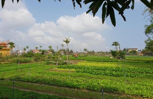 Tra Que Vegetable Village Hotel | Hoi an Osaka Riverside Villa & Spa