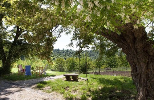 Castel Giorgio Apartment | Holiday apartment Castel Giorgio for 1 - 3 persons with 1 bedroom - Holiday apartment