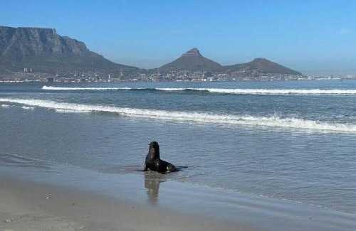 Lagoon Beach Apartment | Holiday Apartment by the Beach