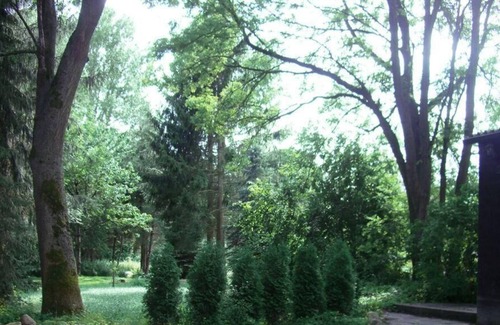 Dahlenburg Apartment | Holiday apartment Dahlenburg for 1 - 4 persons with 2 bedrooms - Holiday apartment in one or multi-f