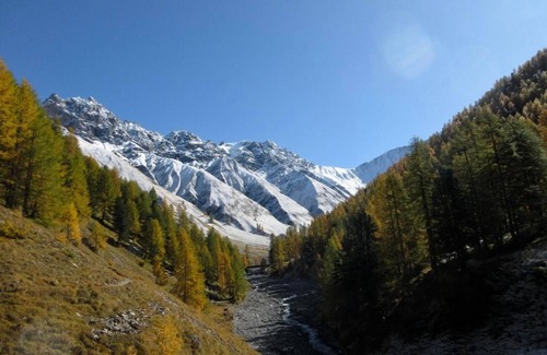 S-chanf Apartment | Holiday apartment S-chanf for 1 - 4 persons with 2 bedrooms - Holiday apartment in one or multi-fami