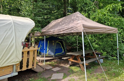 Urnshausen Cabin | Holiday cabin right on the lake