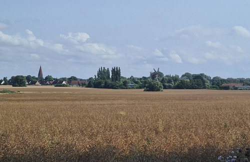 Elmenhorst/Lichtenhagen House | Holiday home for 6 guests with 70m² in Elmenhorst/Lichtenhagen (166148)