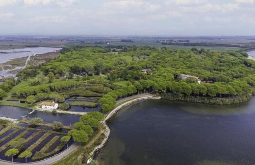 Aquileia House | Holiday Home Adria Home - GDO203 by Interhome