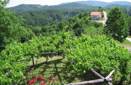 Paradiz House | Holiday Home Carovina