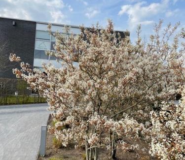 Wingene House | Holiday home Poire et Table