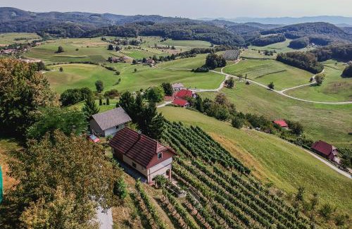 Krsko House | Holiday Home Sunny at vineyard