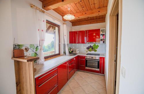 Krsko House | Holiday Home Sunny at vineyard