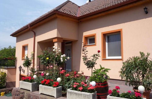 Balatonfuzfo House | Holiday home with pool, whirlpool and air conditioning