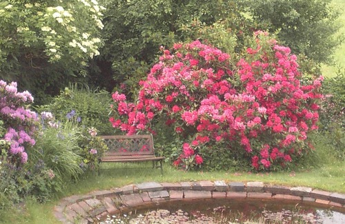 Obernsees House | Holiday house Mistelgau for 1 - 3 persons with 1 bedroom - Holiday apartment in one or multi-family