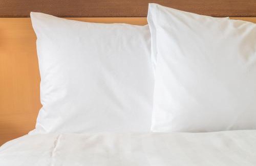 Pudong Hotel | Holiday Inn Express Shanghai Pudong Zhangjiang by IHG - 20 minutes to New International Expo Center and Disneyland