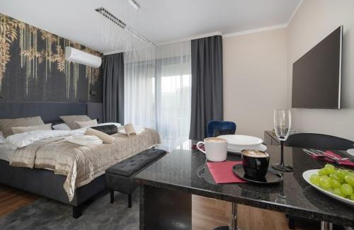 Polanica-Zdroj Apartment | Holiday studio with balcony, indoor pool, sauna