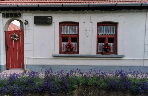 Abaujszanto House | Hollókői Vendégház