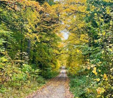 Harzgerode Apartment | Holla die Waldfee
