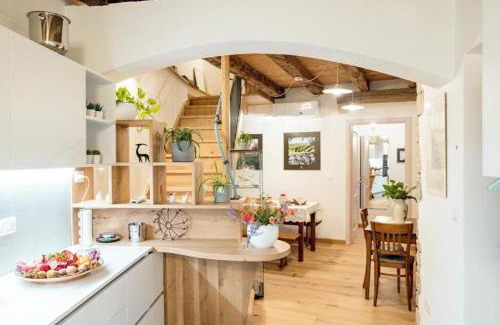 Ternova Piccola House | Home Dren