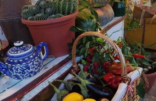 Frascati Apartment | Home Il Cortiglione