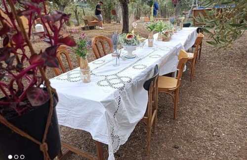 Frascati Apartment | Home Il Cortiglione