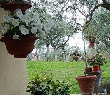 Frascati Apartment | Home Il Cortiglione