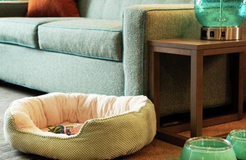 Hammond Hotel | Home2 Suites By Hilton Hammond