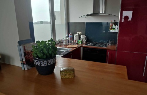 Etterbeek Apartment | Homerez - Apt. Etterbeek with balcony