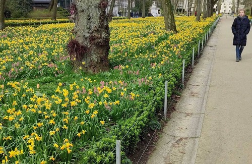 Etterbeek Apartment | Homerez - Apt. Etterbeek with balcony