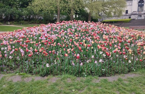 Etterbeek Apartment | Homerez - Apt. Etterbeek with balcony