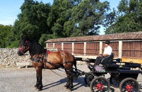 Valenca Villa | Homerez - Big villa for 14 ppl. with swimming-pool at Valença