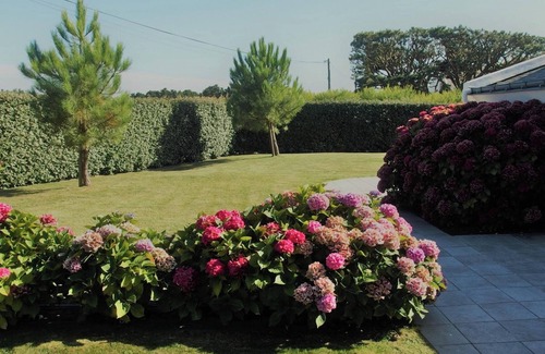 Bangor House | Homerez - Charming house in Bangor with large enclosed garden