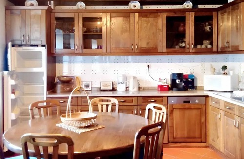 Castro Daire Villa | Homerez - Charming Villa in Vila Seca with Private Pool