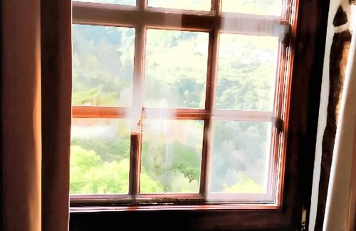 Castro Daire Villa | Homerez - Charming Villa in Vila Seca with Private Pool