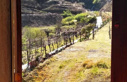 Lamego Villa | Homerez - Charming Villa with Pool in Lamego