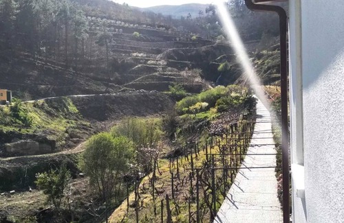 Lamego Villa | Homerez - Charming Villa with Pool in Lamego