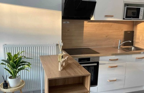 Chartres Apartment | Homerez - Cozy apartment in Chartres 52 m² balcony