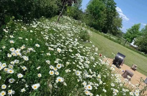 Gouvy House | Homerez - House with Jacuzzi in Gouvy/80 m²