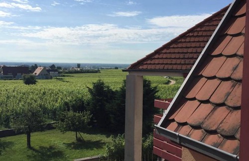 Ribeauville Apartment | Homerez - Studio Ribeauville, Mountain View