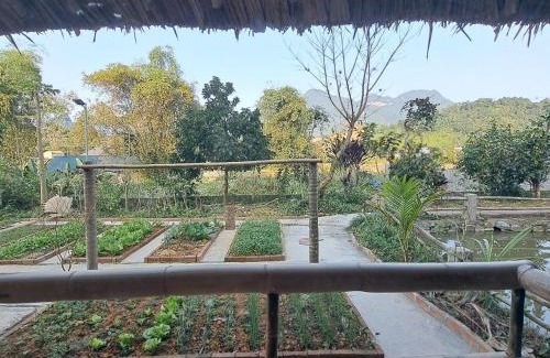 Ha Giang House | Homestay field - bungalow, Ha giang loop tour, motorbikes rental