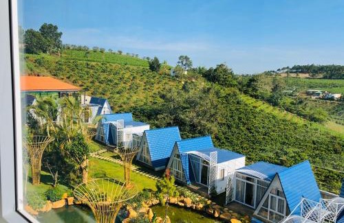 Bao Loc Hotel | Homestay Tulip Garden Bảo Lộc