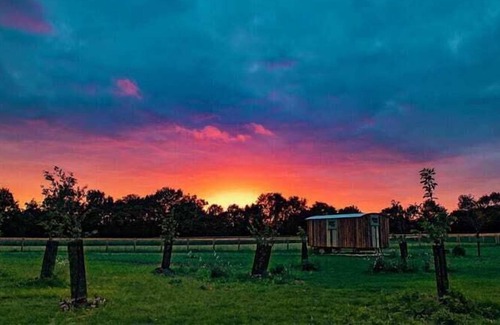 Monk Soham Cabin | Honeysuckle Farm Hut 6 - Suffolk Farm Holidays