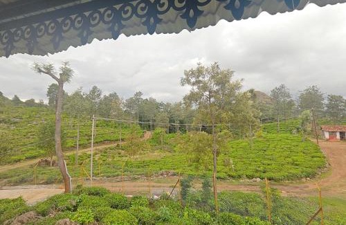 Kotagiri Resort | Hornbill Jungle Resort Kotagiri