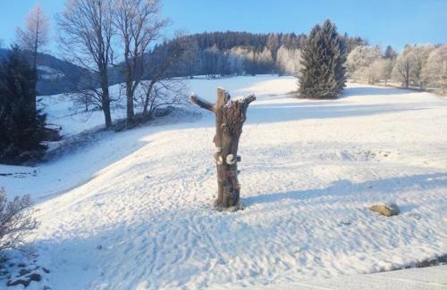 Pec pod Snezkou Ski Chalet | Horská chata - U Pivči