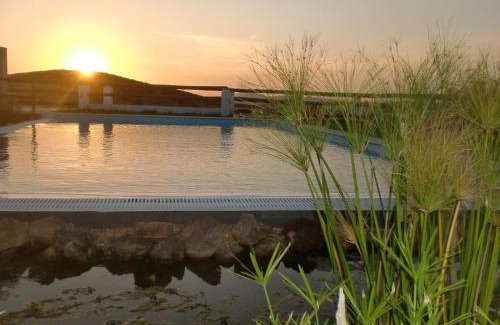 Mertola House | Horta da Quinta