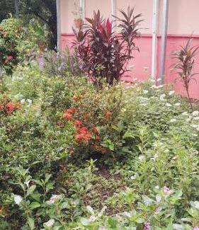 Altagracia House | Hospedaje Bananas