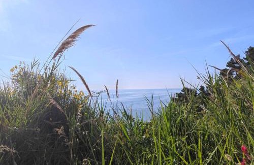 Falconara Marittima Apartment | Host4All casa vacanze