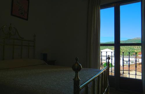 Guadalupe House | Hostal Altamira Guadalupe